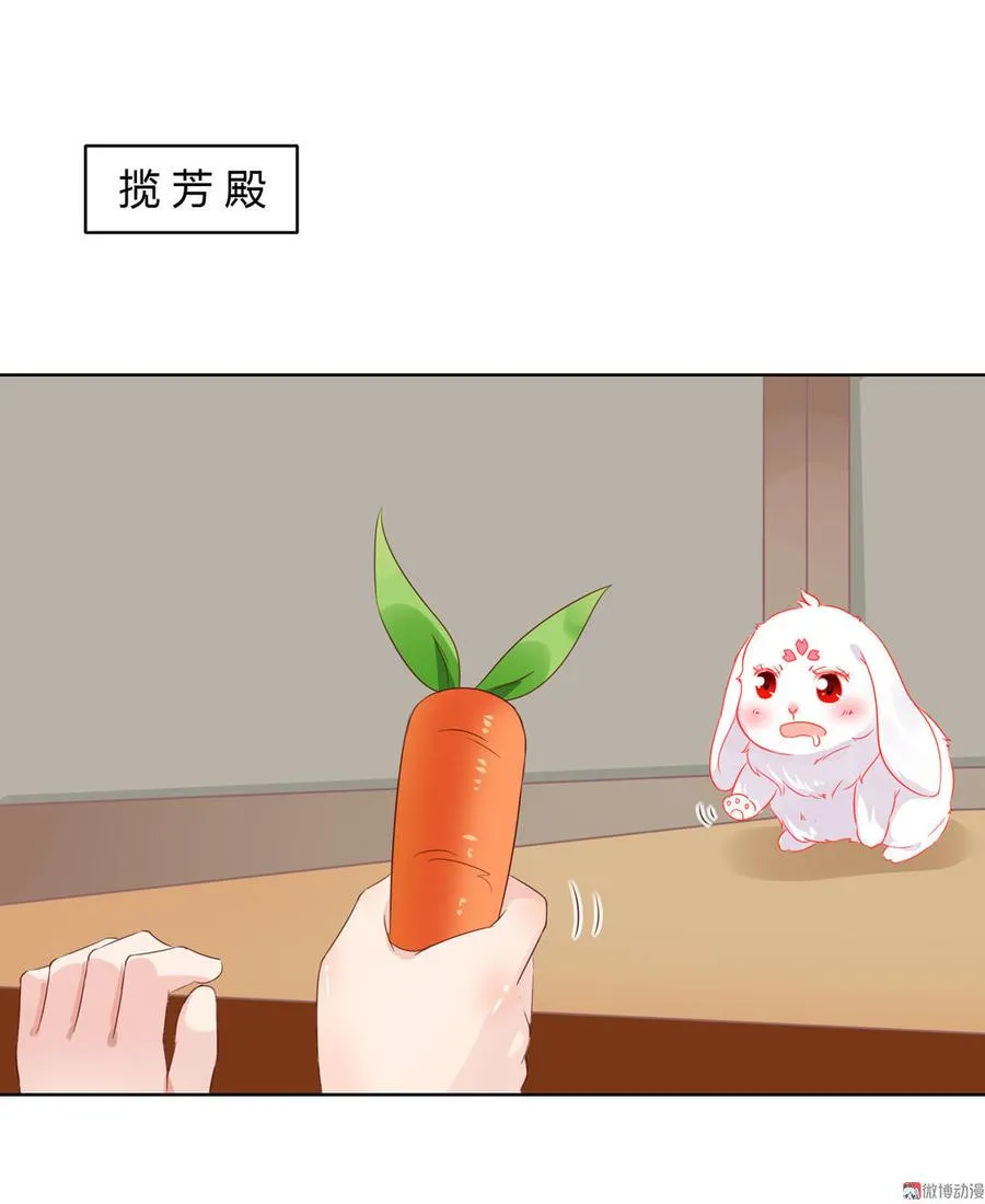 第60话 经不起诱惑的兔兔 第3页