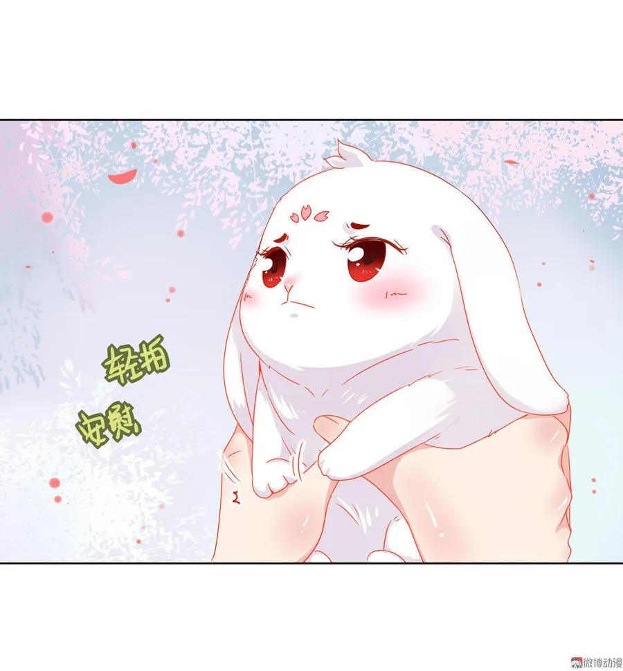 第60话 经不起诱惑的兔兔 第23页