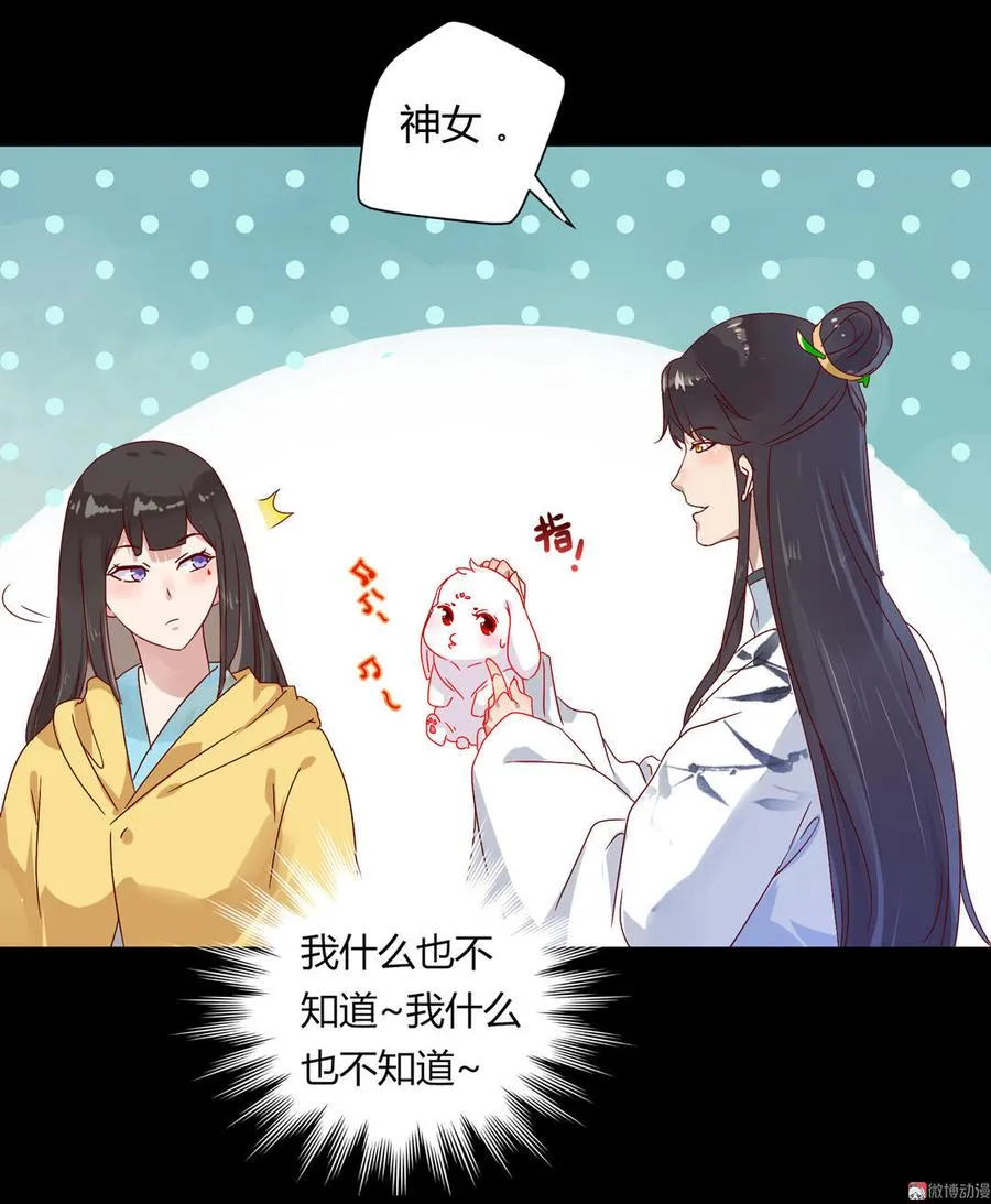 第62话 兔子果然适合圈养 第12页