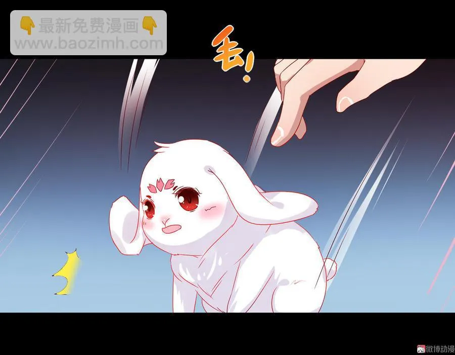 第62话 兔子果然适合圈养 第14页