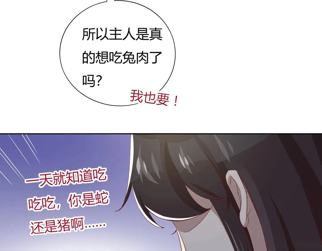 第146话 没有白小兔？ 第13页