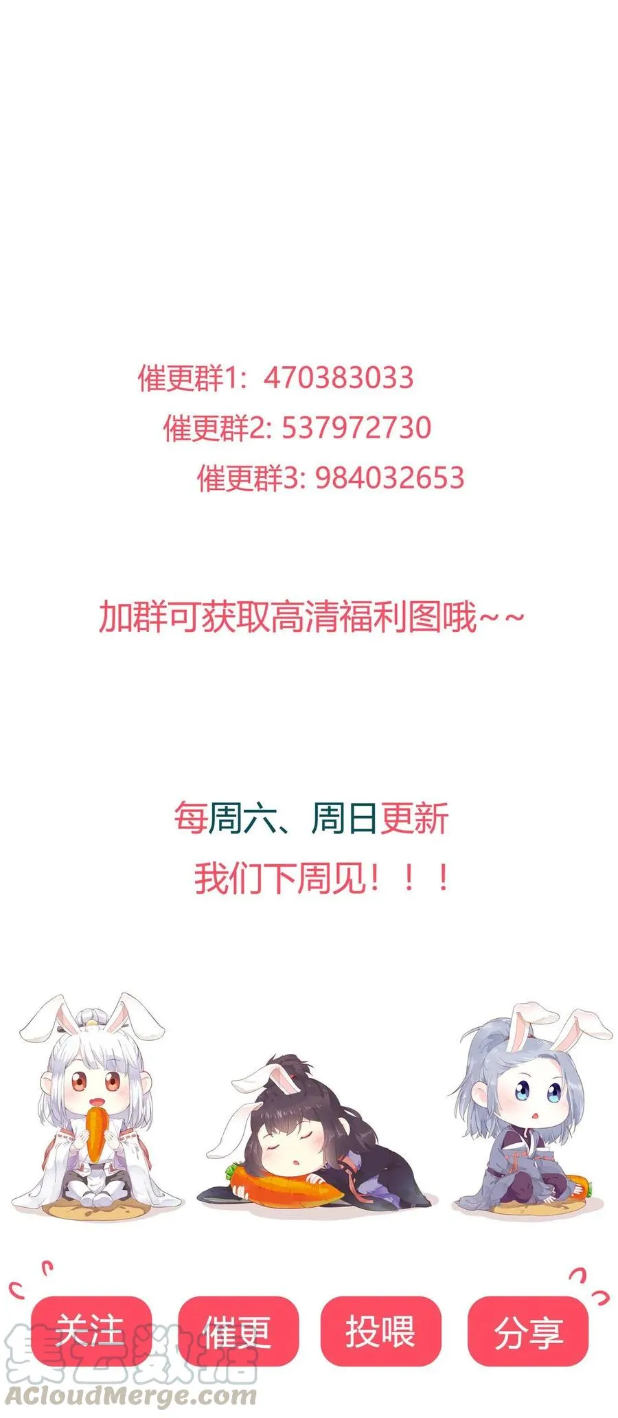 第203话 这个女人你碰不得！ 第31页