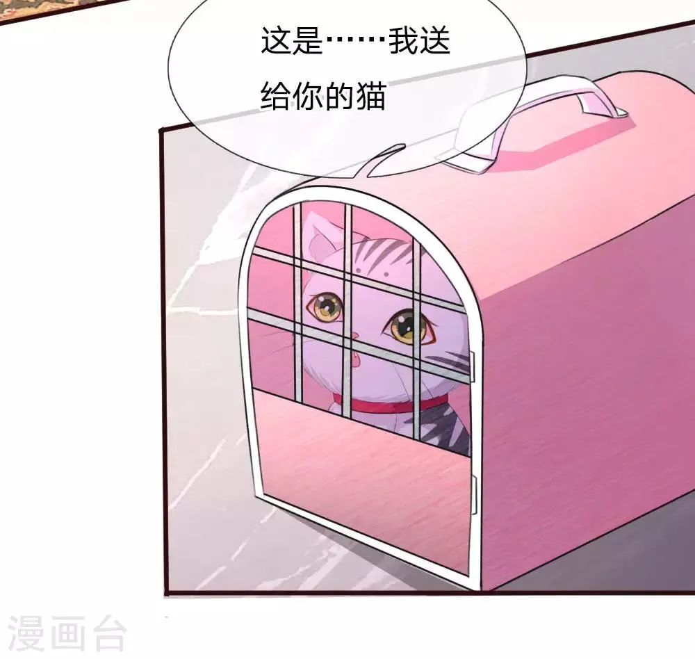 第77话 萌猫球球 第8页