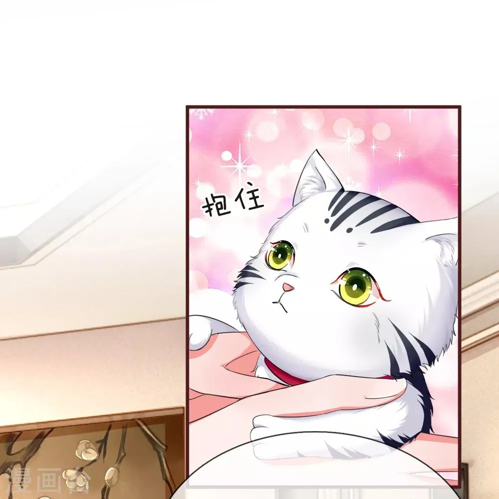 第111话 雨夜出走 第1页