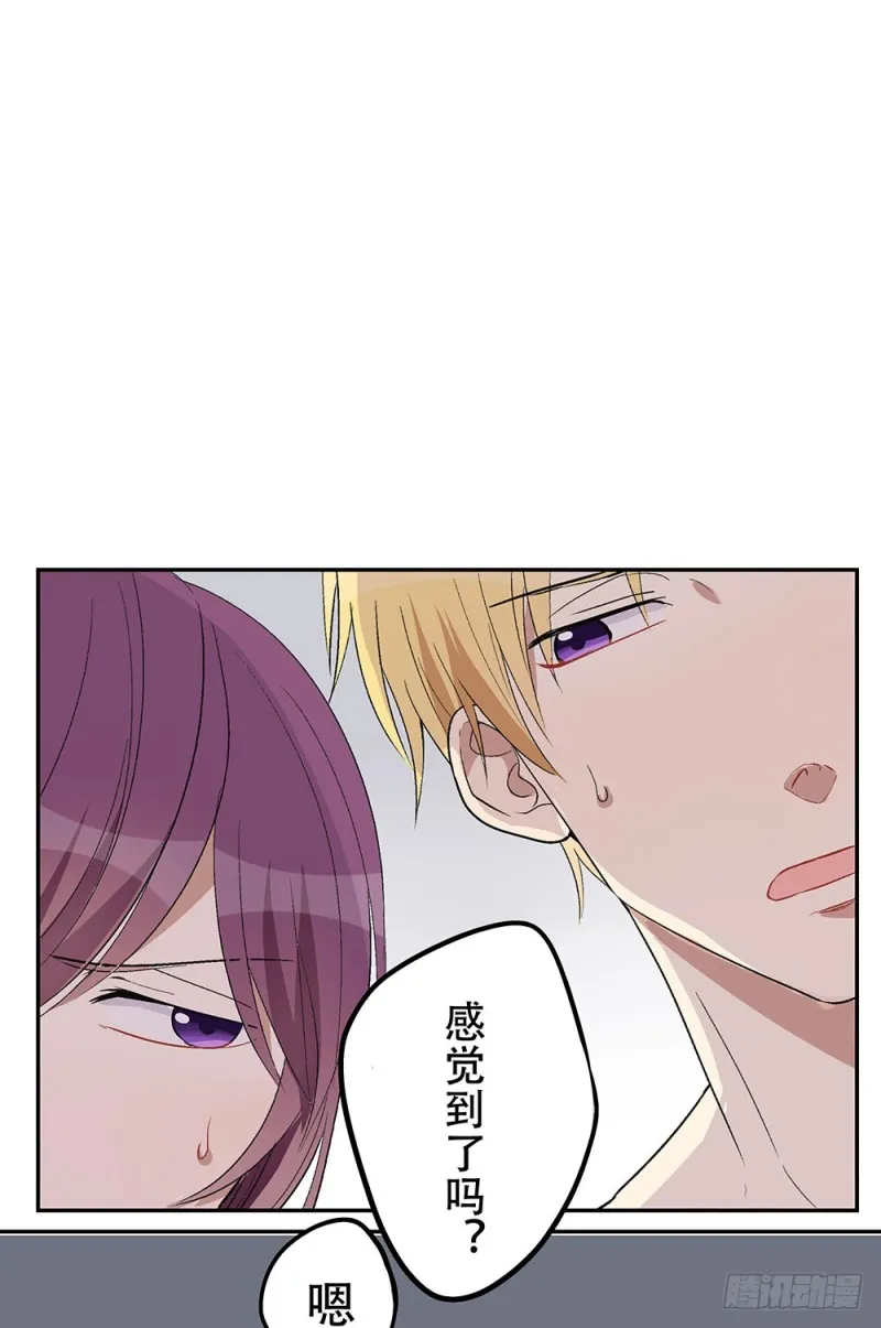不会弄伤你的 第116页