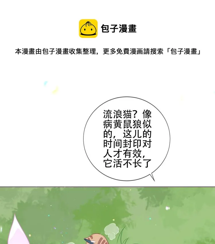 番外 无夜城的一只猫 第1页