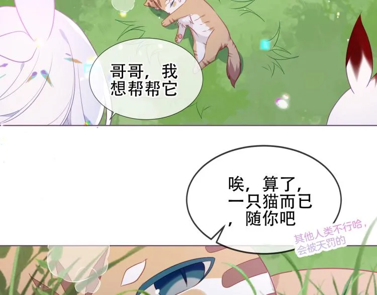 番外 无夜城的一只猫 第2页