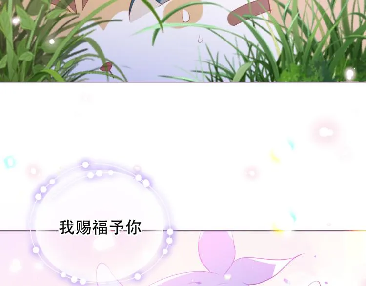 番外 无夜城的一只猫 第3页