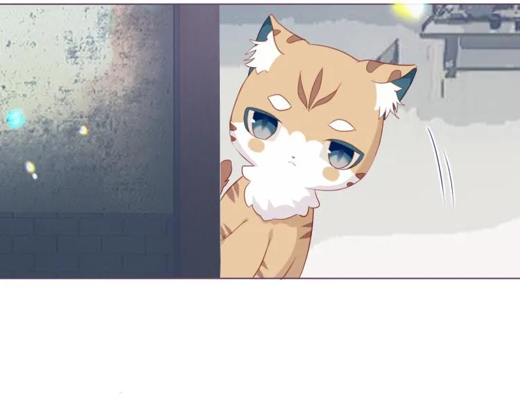 番外 无夜城的一只猫 第8页