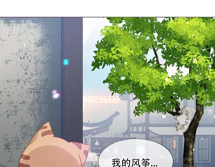 番外 无夜城的一只猫 第9页