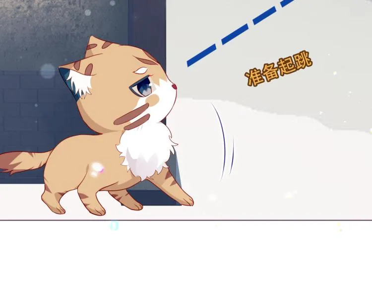 番外 无夜城的一只猫 第12页