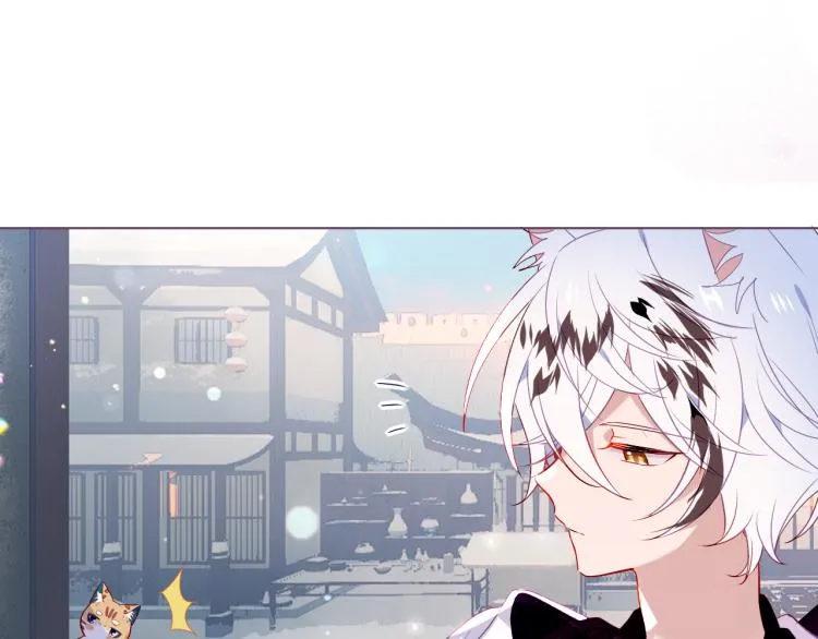 番外 无夜城的一只猫 第19页