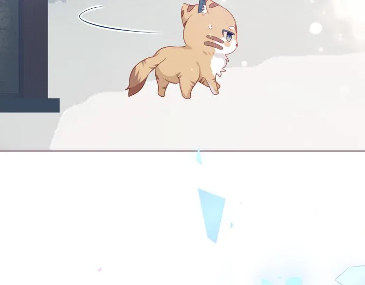 番外 无夜城的一只猫 第23页