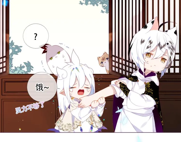 番外 无夜城的一只猫 第27页