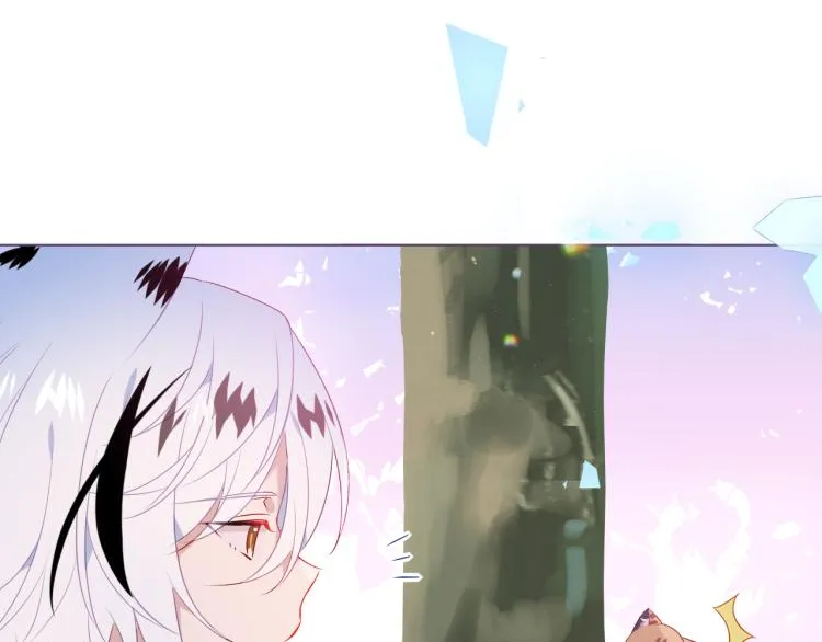 番外 无夜城的一只猫 第31页