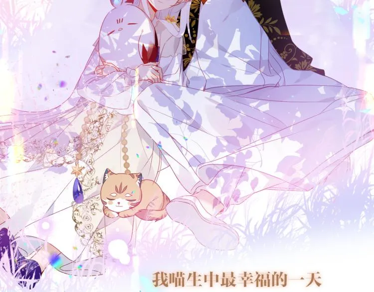 番外 无夜城的一只猫 第37页