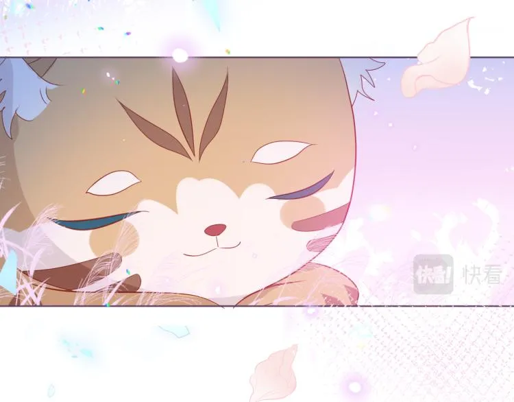 番外 无夜城的一只猫 第38页