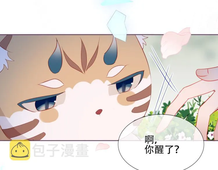番外 无夜城的一只猫 第40页