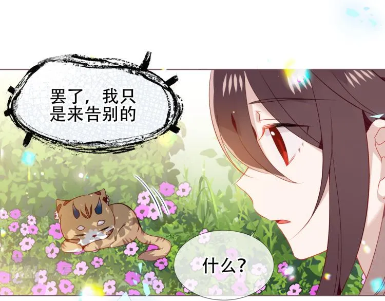 番外 无夜城的一只猫 第49页