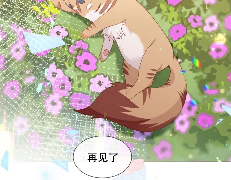 番外 无夜城的一只猫 第64页