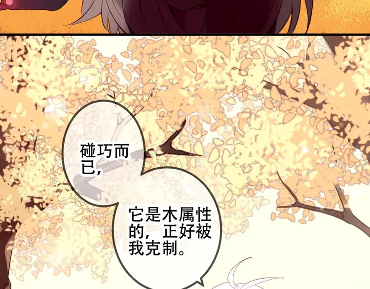 第31话 凰炎国的流行 第8页