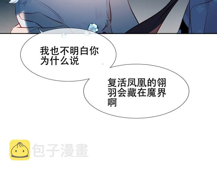 第122话 凤凰和神明们的故事 第28页