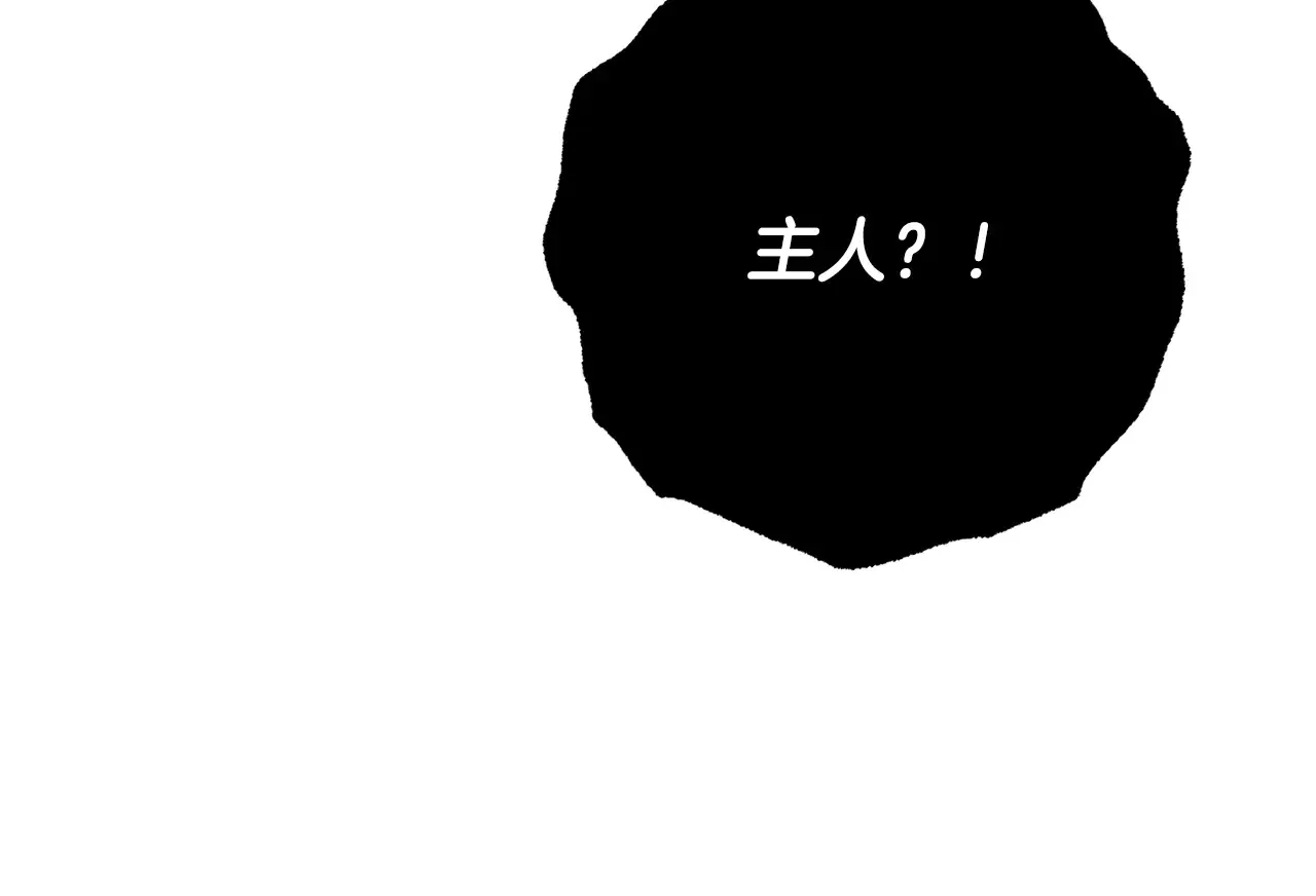 完结话 我想休息了 第410页
