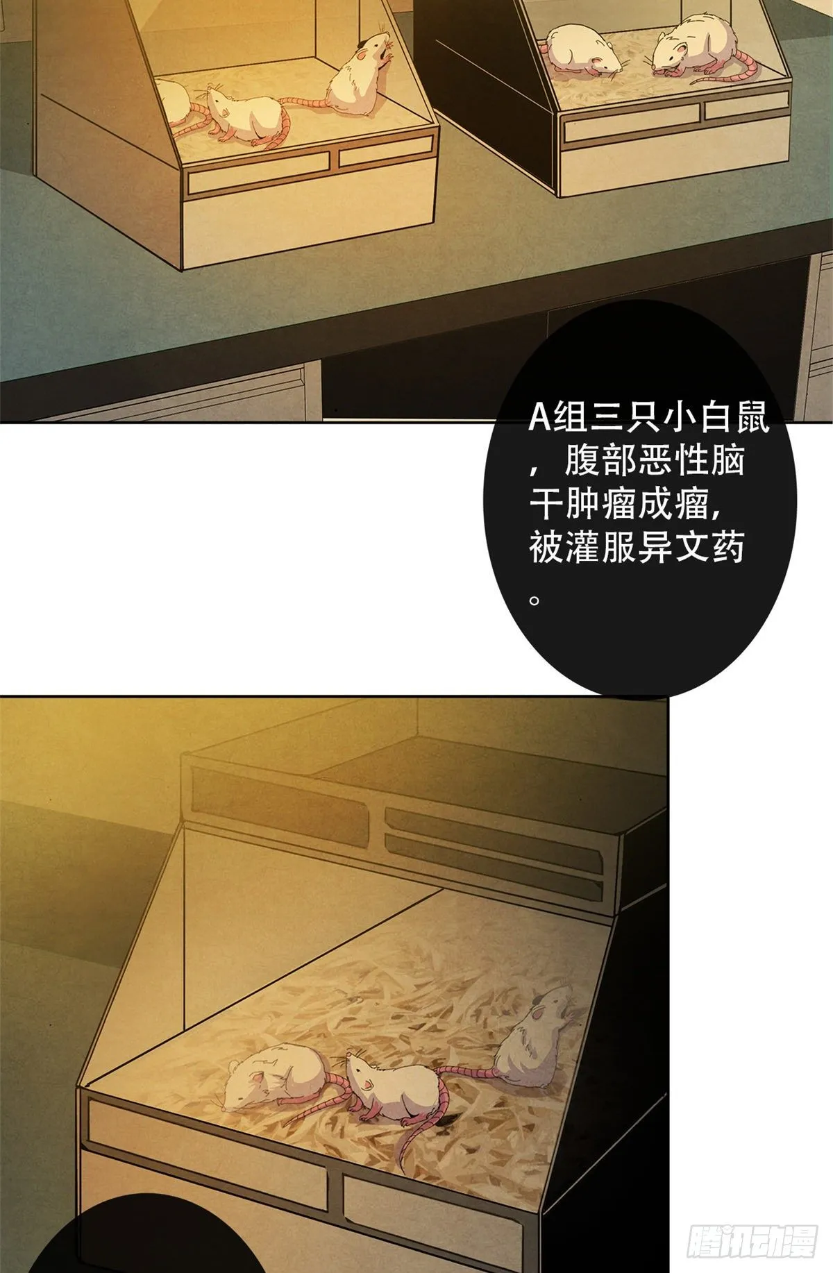 07 实验和遗书 第27页