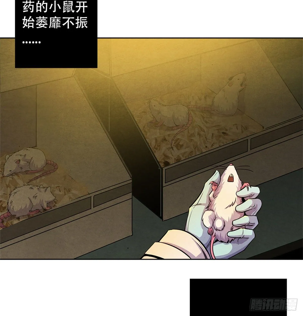 07 实验和遗书 第33页