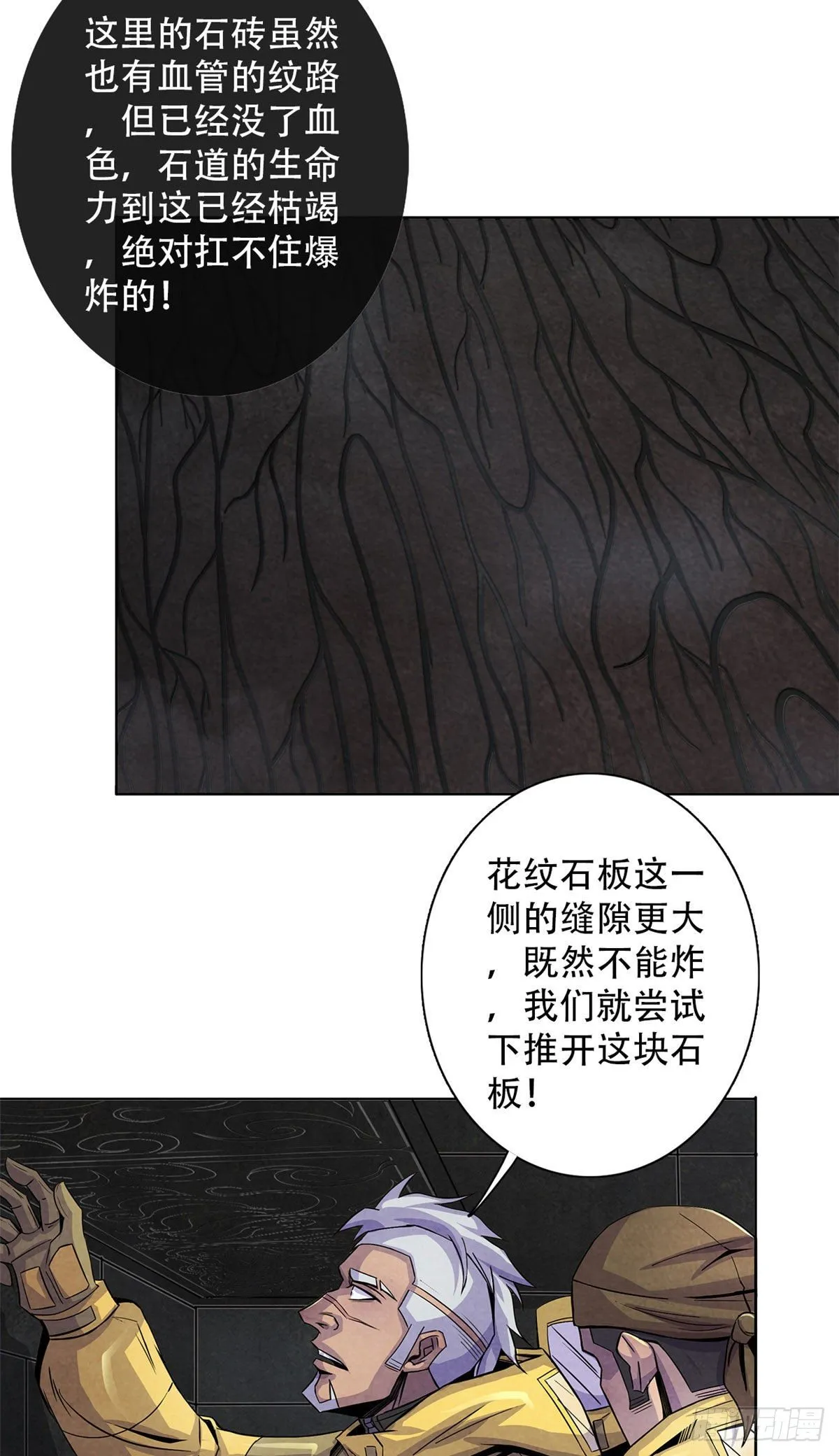55 卡洛普牌解剖刀 第41页