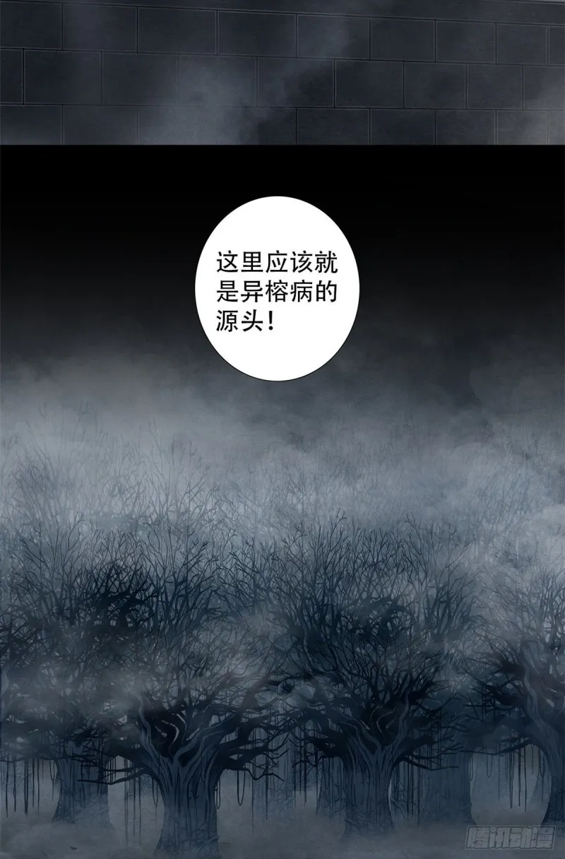 60 起源 第42页