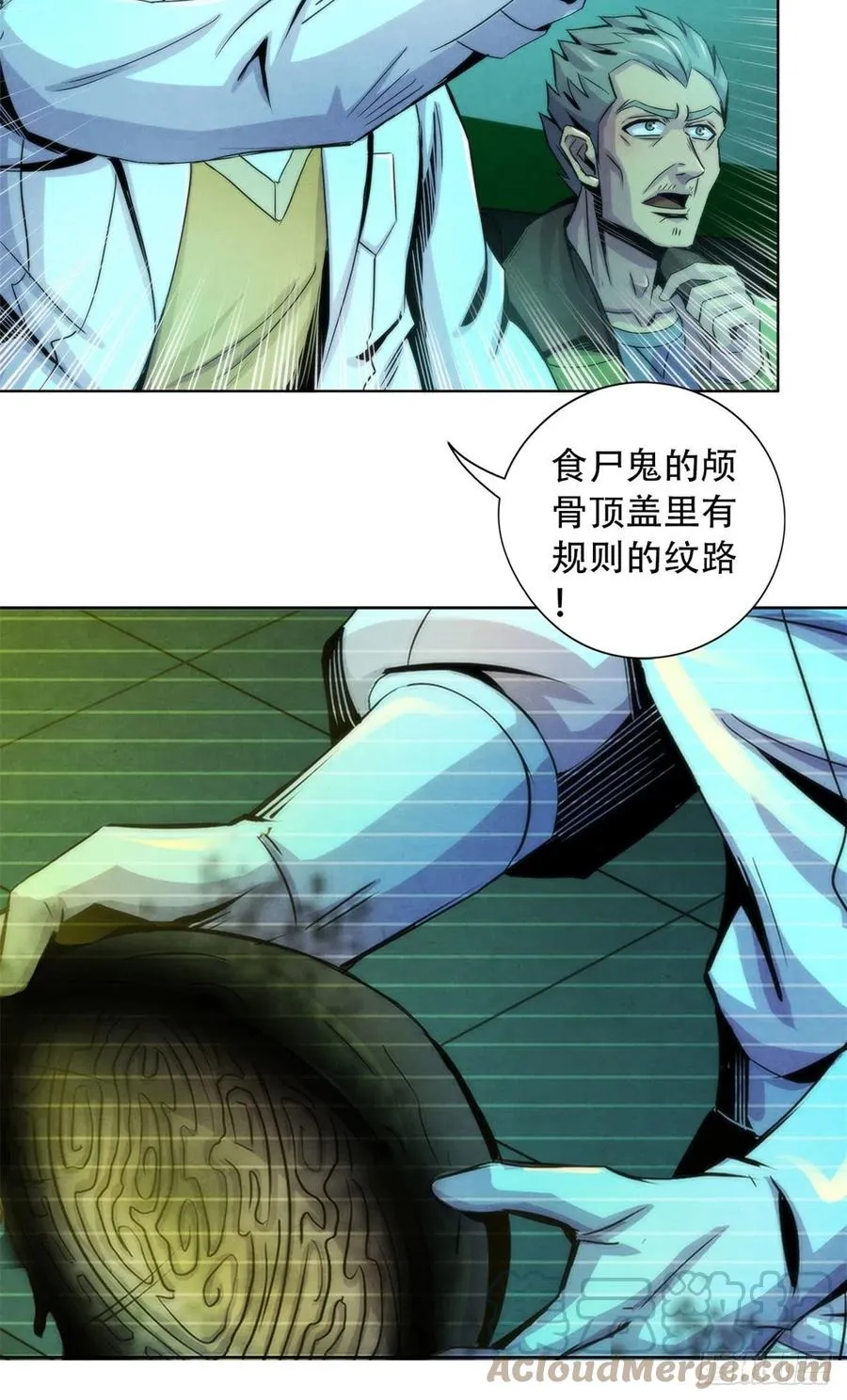 92 颅骨顶盖 第31页