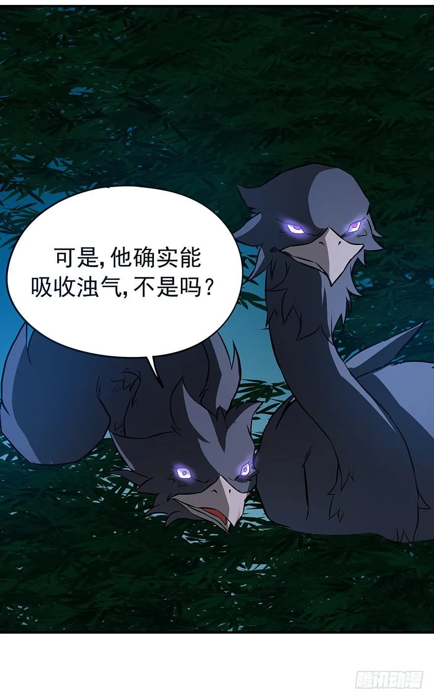 选择 第13页