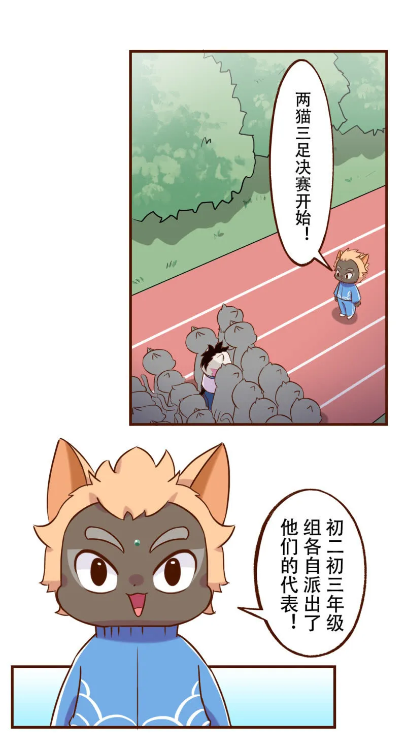 合作！两猫三足 第2页