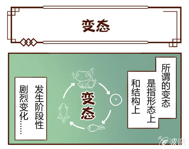 白糖与小青蛙-变态 第2页