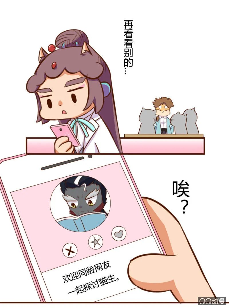 实现？双十一的愿望 第5页