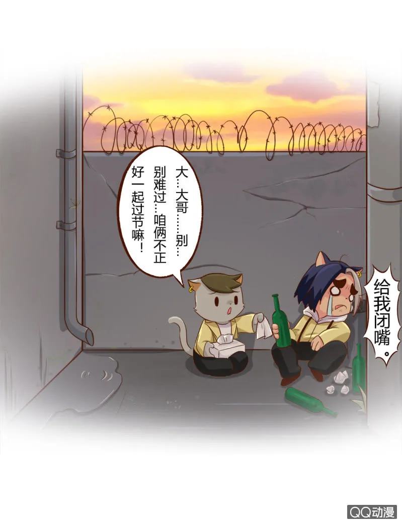 实现？双十一的愿望 第13页