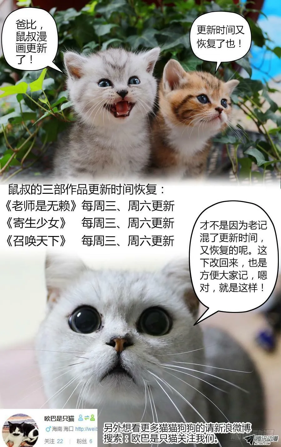 第13话 猫耳少年被下药！ 第12页