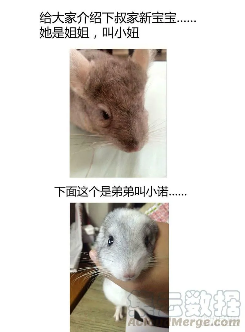 47.命运共同体 第11页