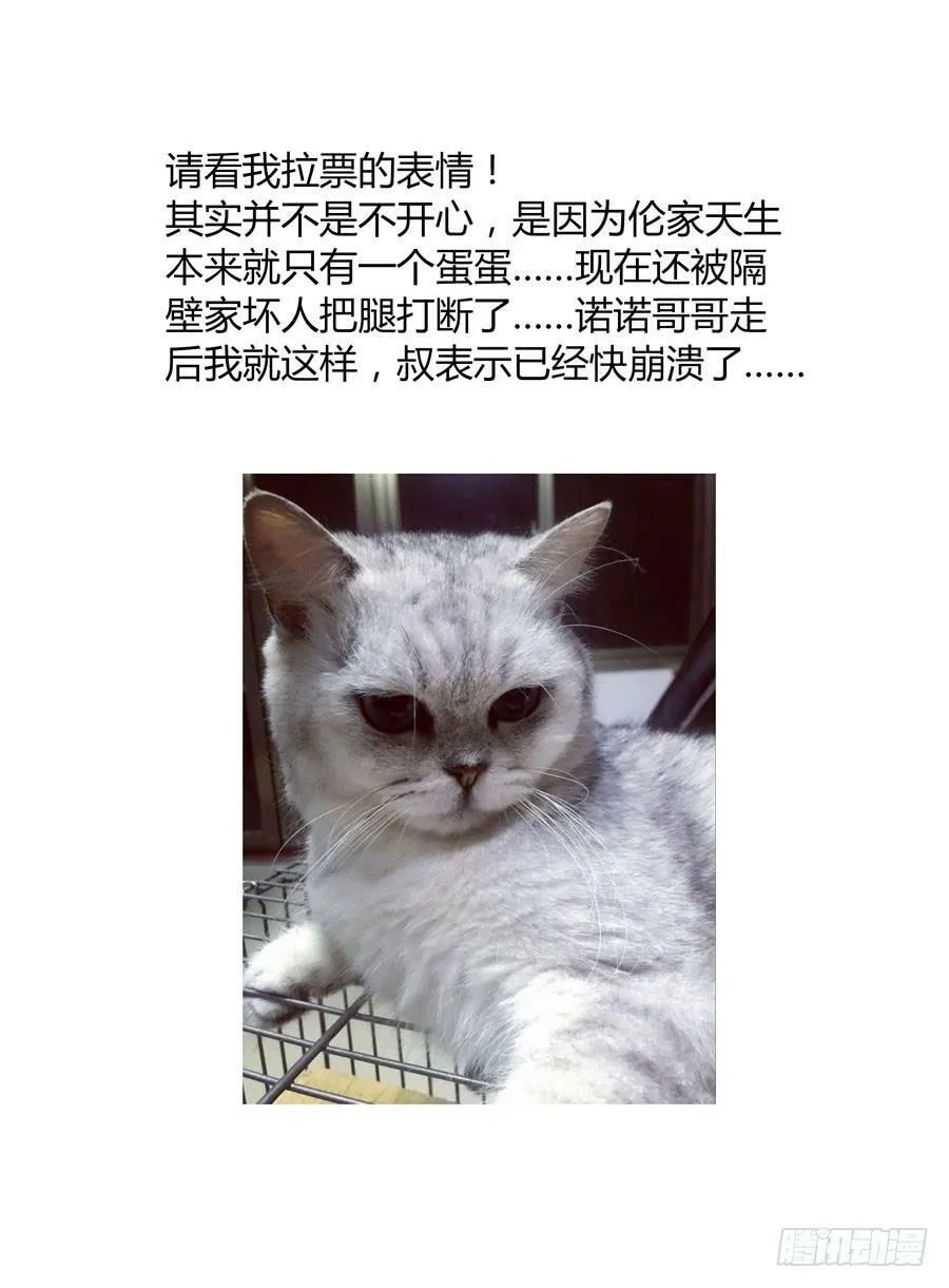 48. 英魂“遗愿” 第13页