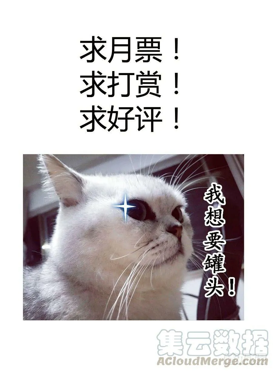 49.程星的仇人 第11页