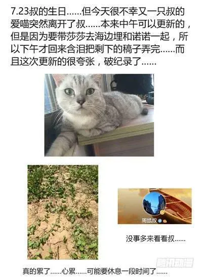 51.于“鬼市”流转 第2页