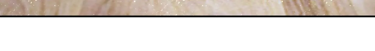 第73话 他的诡计 第101页