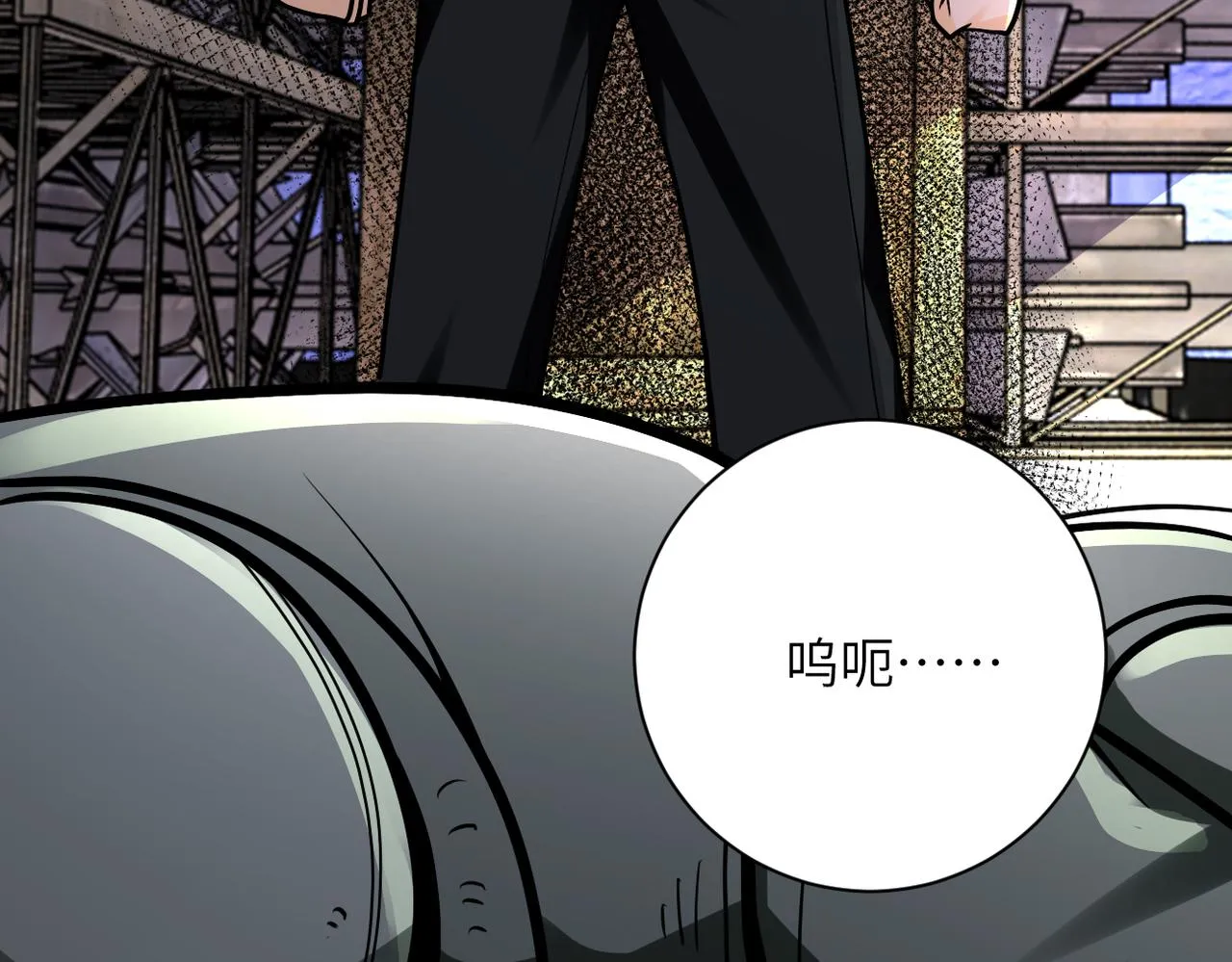 第243话 军人的职责 第11页