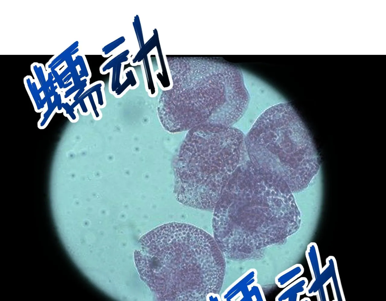 第248话 希望 第24页