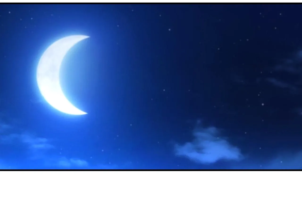 第304话 偷得浮生 第59页