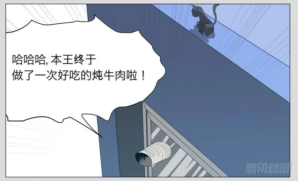 009猫和他的猫part1 第10页