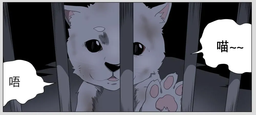 011猫和他的猫part3 第9页