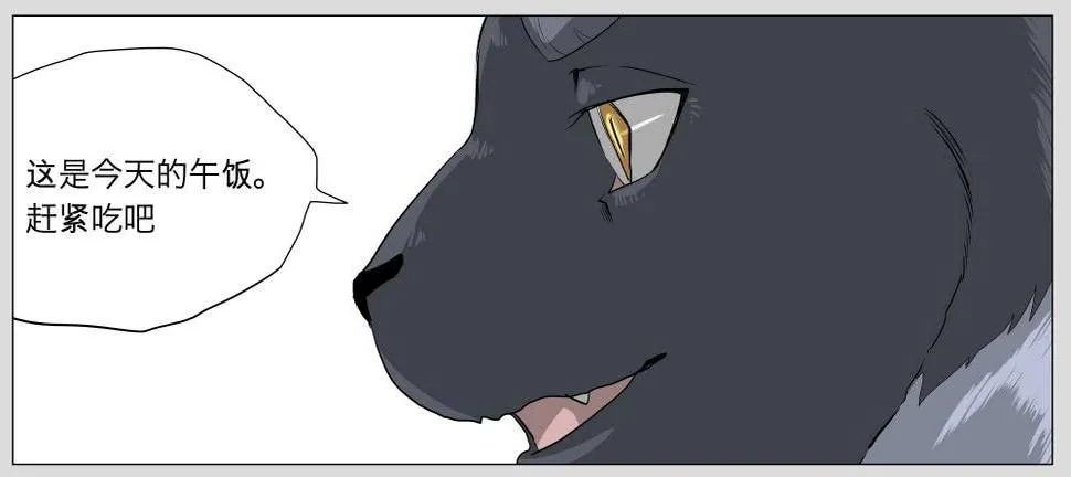 011猫和他的猫part3 第10页