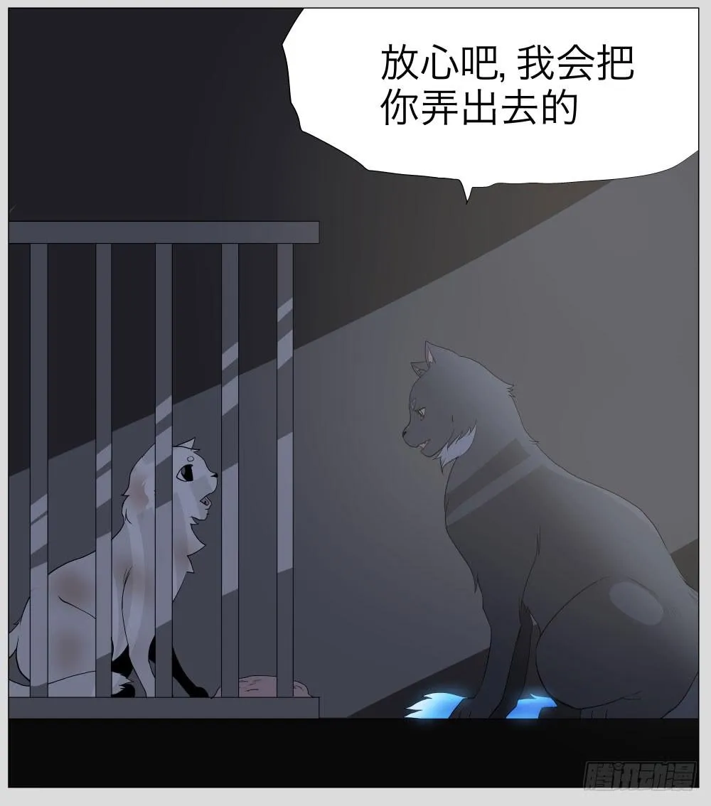 011猫和他的猫part3 第11页